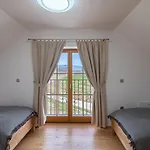 Apartment Domacija Vrski