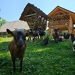Domacija Vrski 아파트 *