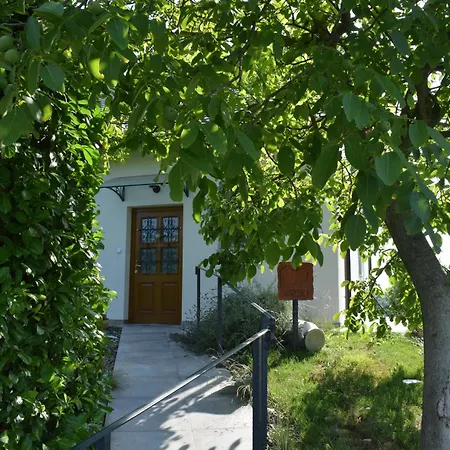 Apartament Domacija Vrski