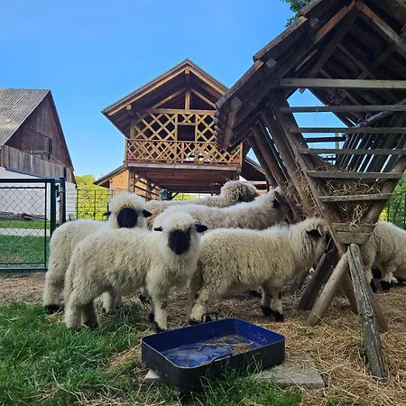 Homestead Vrski * Slovenska Bistrica