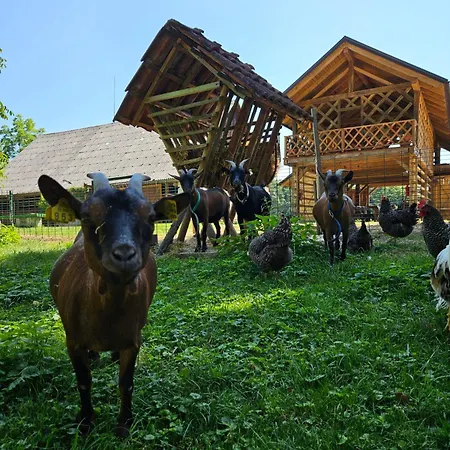 Domacija Vrski Lejlighed *