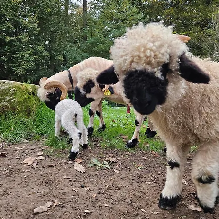 Domacija Vrski Lejlighed