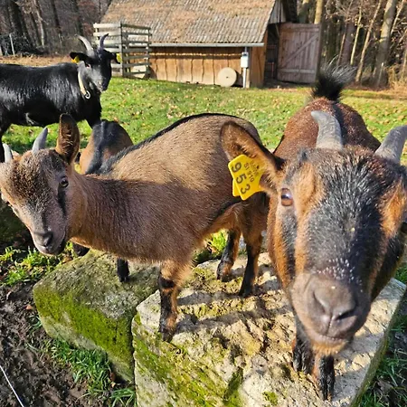 Homestead Vrski *