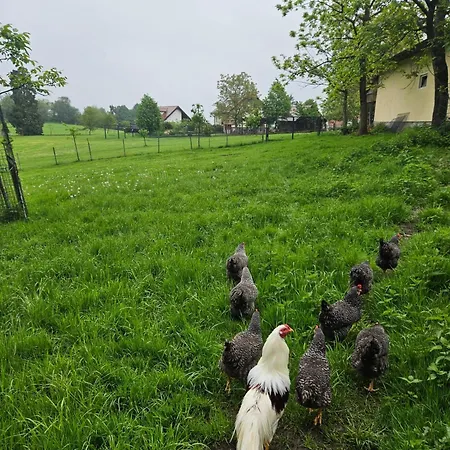 Homestead Vrski Slovenska Bistrica