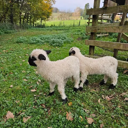 Domacija Vrski * Slovenska Bistrica