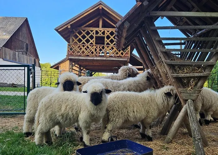 Domacija Vrski * Slovenska Bistrica