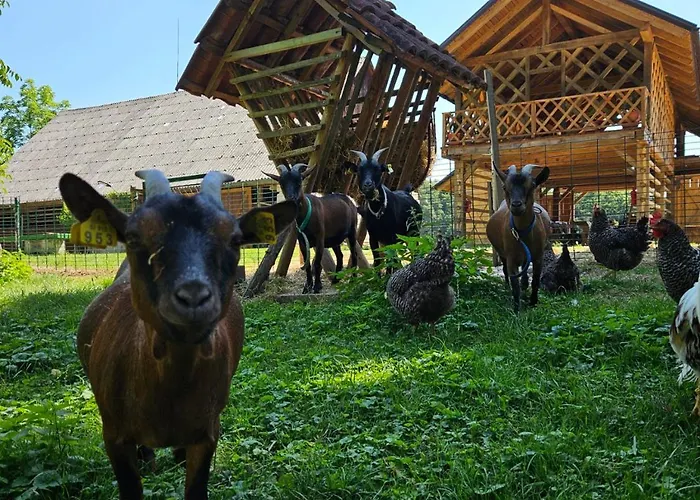 Domacija Vrski Διαμέρισμα *