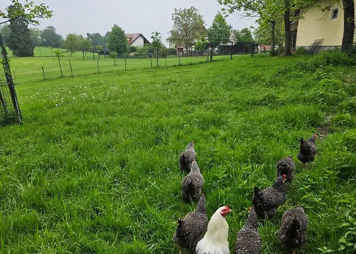 Domacija Vrski Slovenska Bistrica